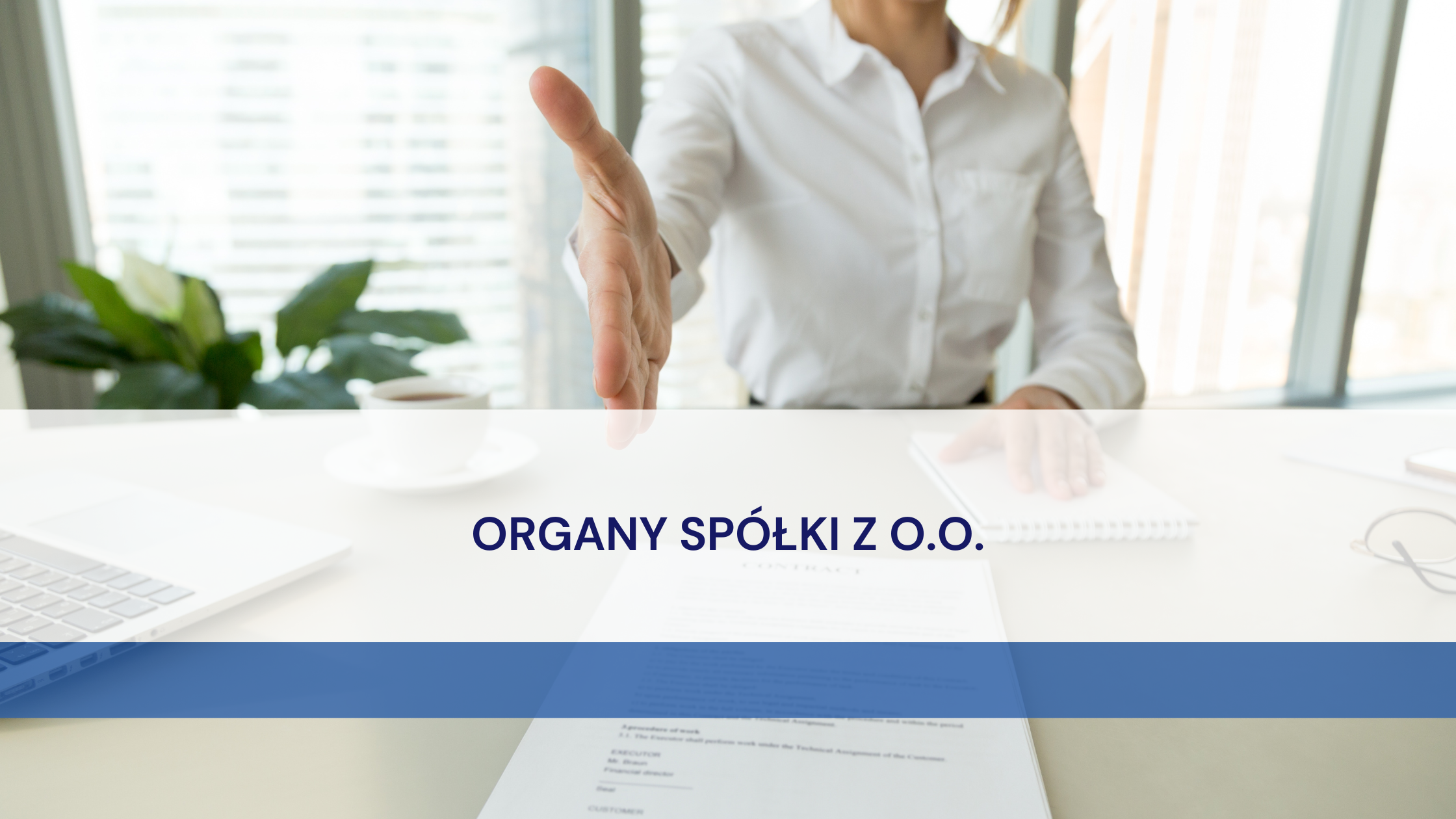 (Polski) Organy Spółki Z O.O.